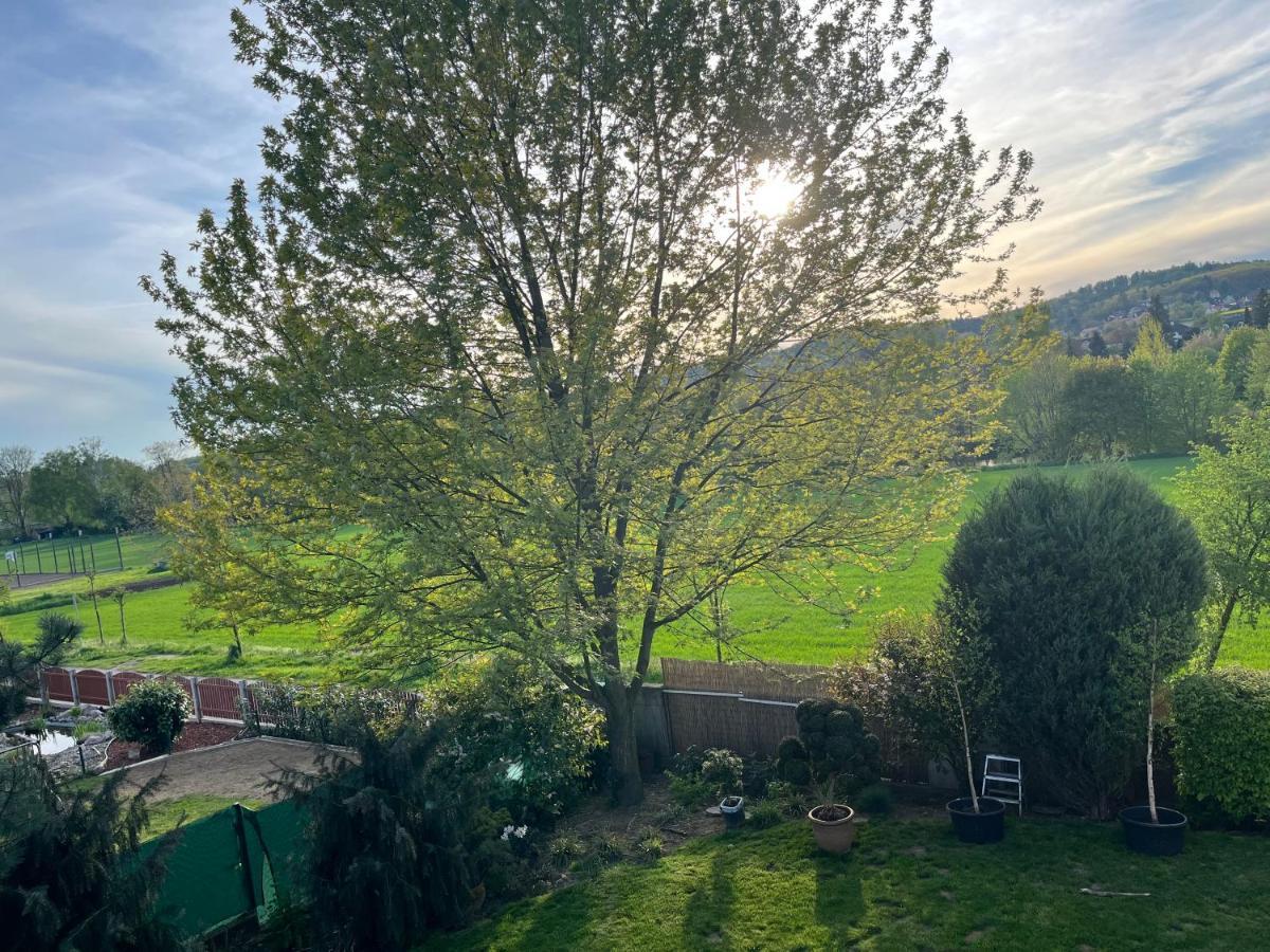 Apartman S Wellness Sluzbami Čerčany Exteriér fotografie
